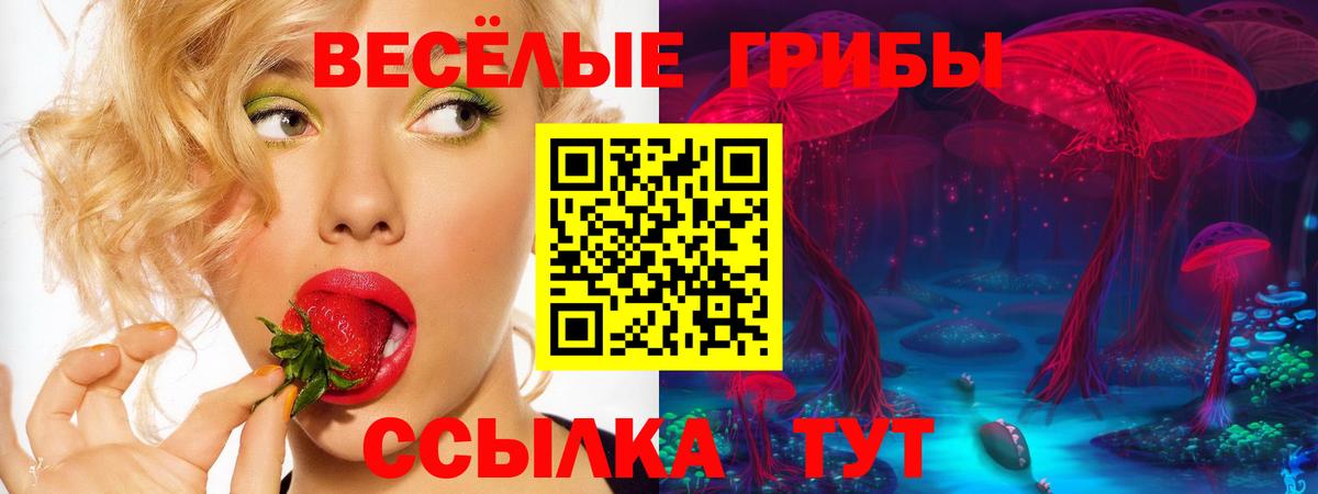 Галлюциногенные грибы мухоморы  что такое   Темрюк  Вход с VPN 